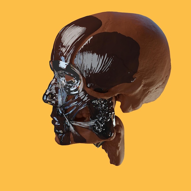 3d rendering object non human metal and glass