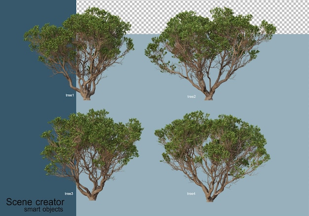 3D rendering of beautiful trees in various angles isolated