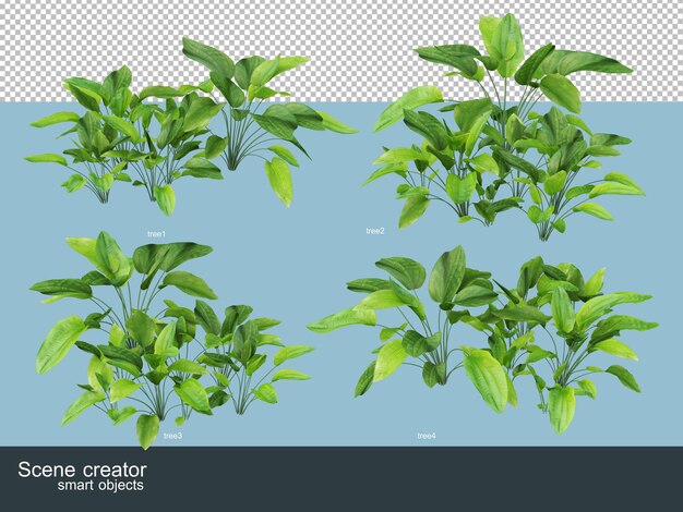 3D rendering of beautiful trees in various angles isolated