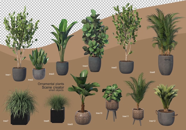3d rendering of decorative tree arrangement