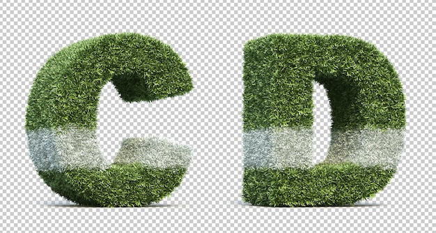 3D rendering of grass playing field alphabet C and alphabet D