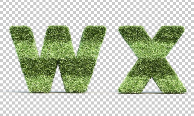 3D rendering of grass playing field alphabet w and alphabet  x