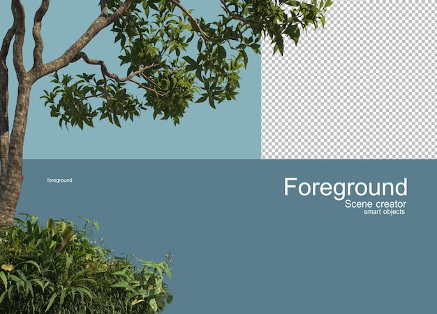 3D rendering of trees foreground isolated