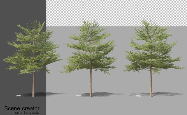 3D rendering of various tree types isolated