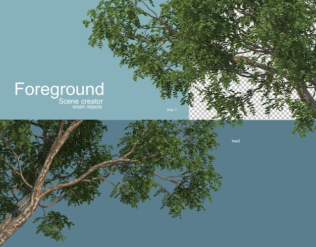 3D rendering of various trees foreground