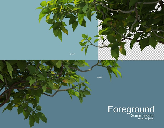 3D rendering of various trees foreground