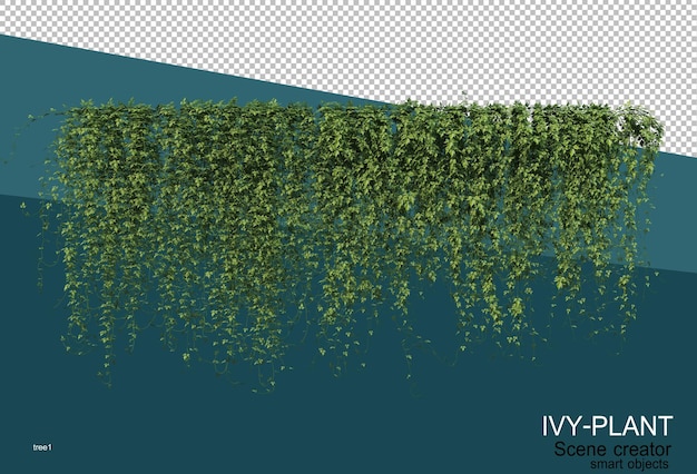 3d rendering of various types of ivy design