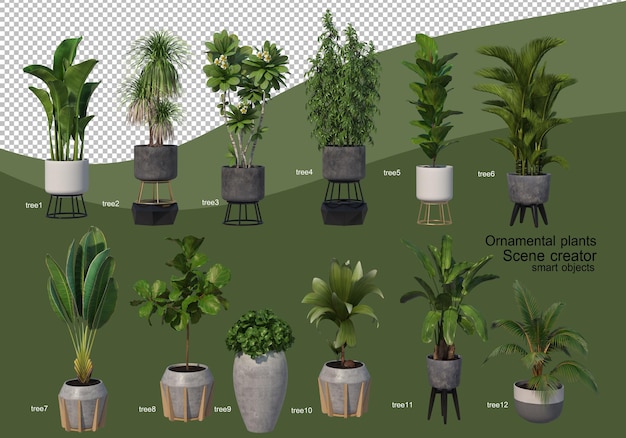 3d rendering of various types of ornamental arrangement