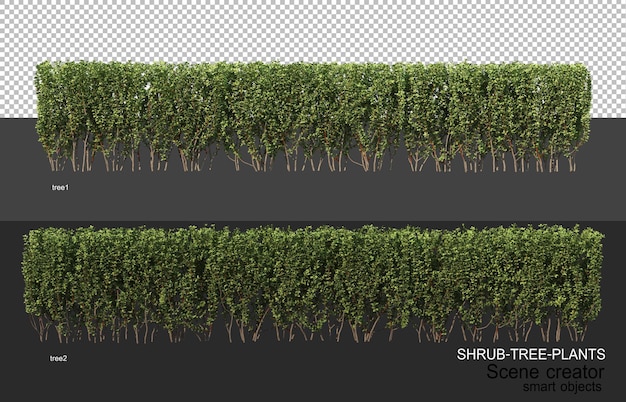 3D rendering of various types of shrub layouts