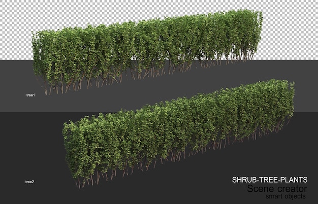 3D rendering of various types of shrub layouts