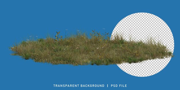 3d-Rendering realistischer grüner Graswüste mit durchsichtigem Hintergrund