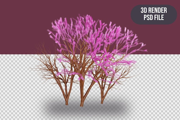 PSD 3d-rendering sakura-baum japan