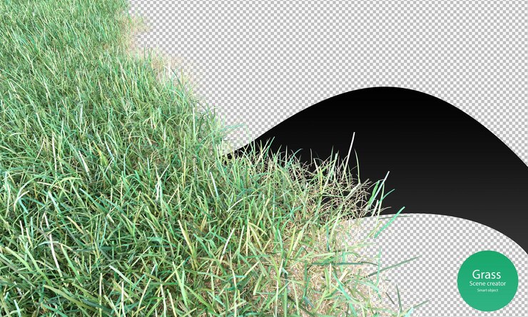 PSD 3d rendering the grass field closeup
