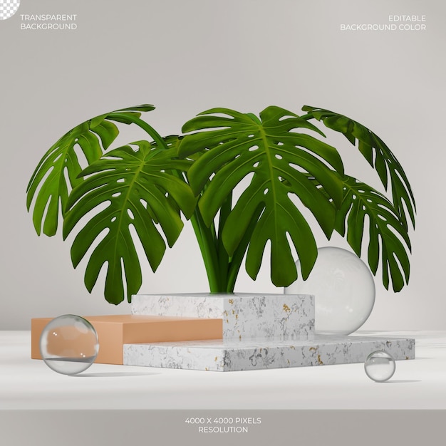 3D-Rendering transparenter Hintergrund von Blockform weißem Marmorpodium im Quadrat mit Monstera-Pflanze