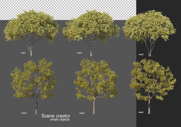 3D rendering, various tree layouts