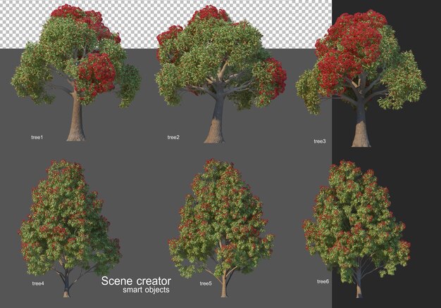 3D rendering, various tree layouts