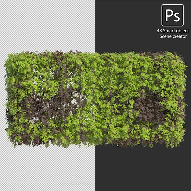 3d rendering various types of bush and hedges arrangements