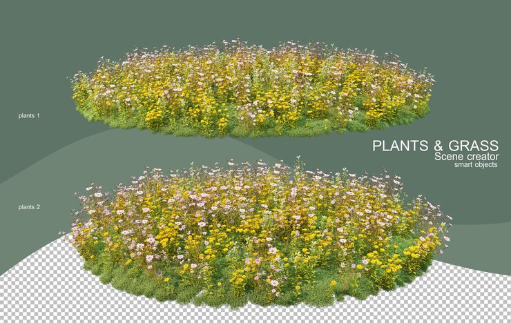PSD 3d rendering various types of bush arrangements
