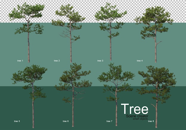 3d-rendering, verschiedene arten von baumlayouts