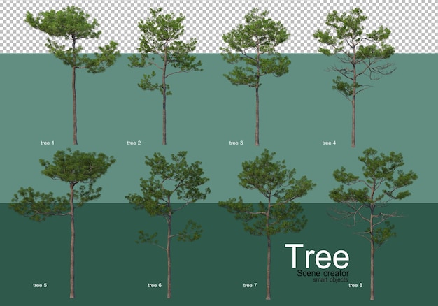 3d-rendering, verschiedene arten von baumlayouts