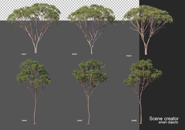 3d-rendering, verschiedene baumlayouts