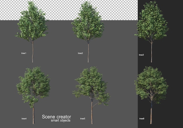 3d-rendering, verschiedene baumlayouts