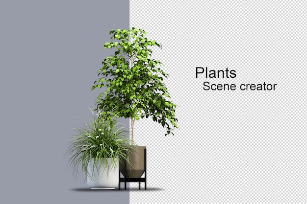 3D-Rendering verschiedener Arten von Buscharrangements