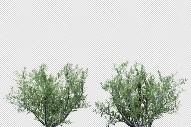 3D-Rendering verschiedener Arten von Ornamenten