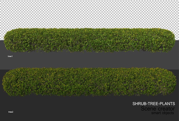 3D-Rendering verschiedener Arten von Strauchlayouts