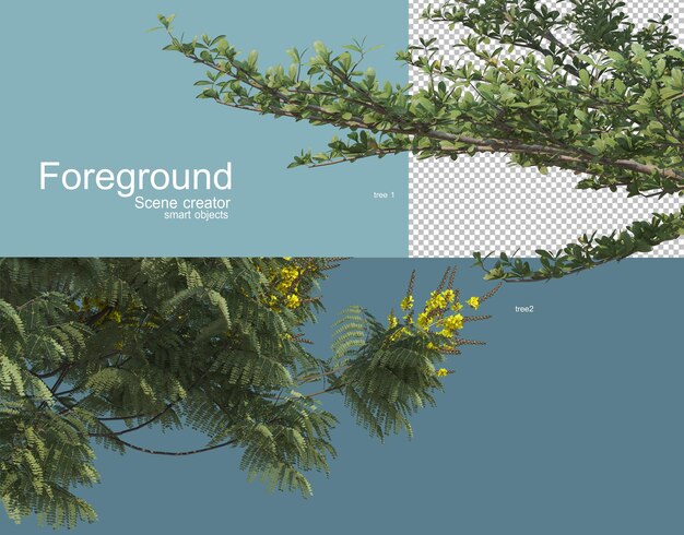 3D-Rendering verschiedener Bäume im Vordergrund