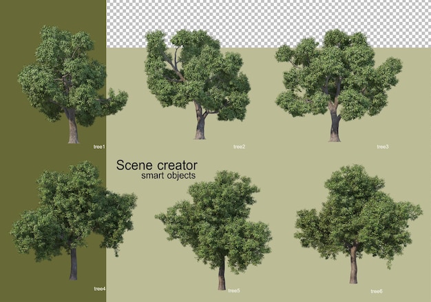3D-Rendering verschiedener Bäume isoliert