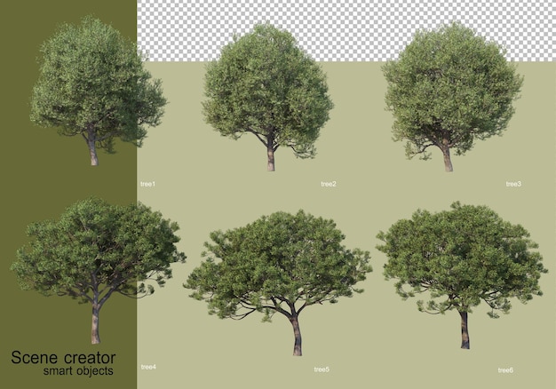 3d-rendering verschiedener bäume isoliert