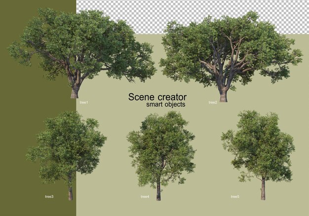 3D-Rendering verschiedener Bäume isoliert