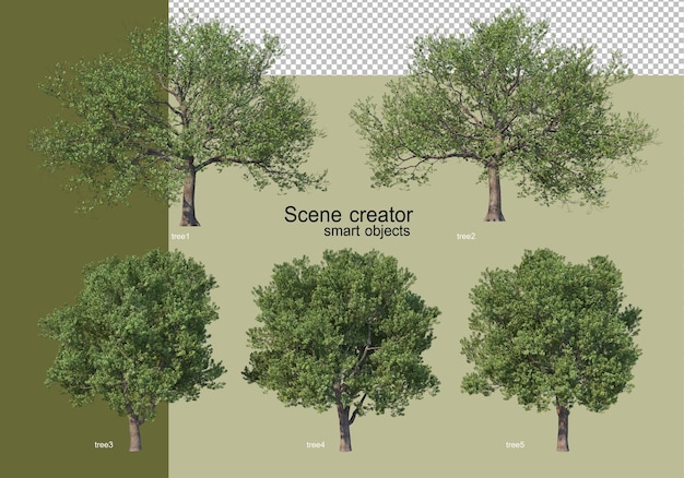 3D-Rendering verschiedener Bäume isoliert