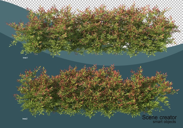 3D-Rendering verschiedener Baumdesigns