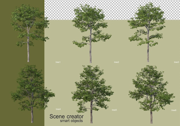 3d-rendering verschiedener baumentwürfe isoliert