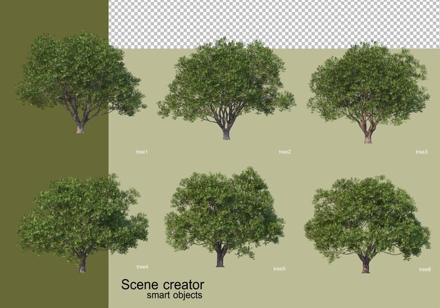 3D-Rendering verschiedener Baumentwürfe isoliert