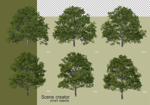 3D-Rendering verschiedener Baumentwürfe isoliert