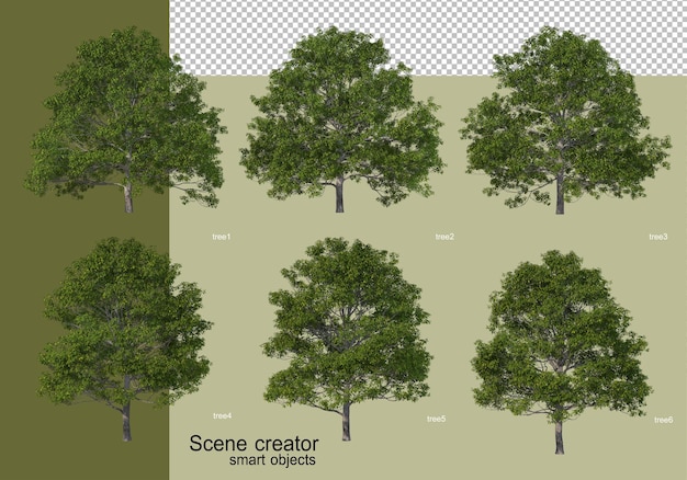 PSD 3d-rendering verschiedener baumentwürfe isoliert