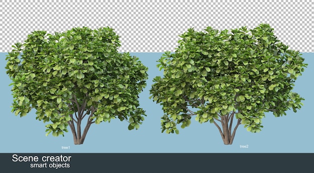 3D-Rendering verschiedener Baumformen und -typen