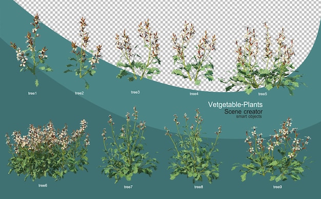 PSD 3d-rendering verschiedener gemüselayouts