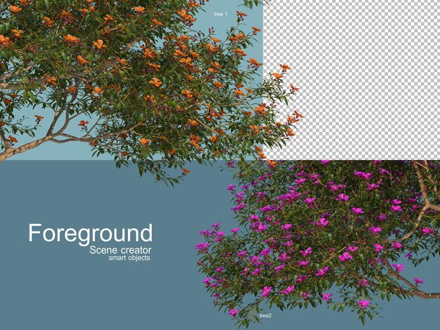 3D-Rendering von Bäumen vorab isoliert