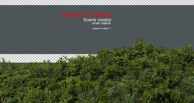 3D-Rendering von Bambuswäldern und Wiesen