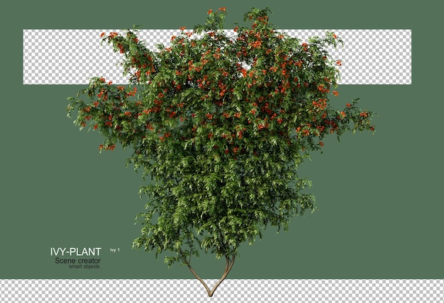 3D-Rendering von Efeu mit bunten Blumen