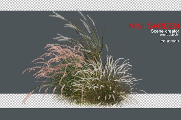 3D-Rendering von Gras, das im Wind fließt