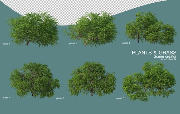 3d-rendering von gras- und strauchanordnungen