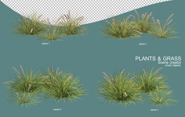 3d-rendering von gras- und strauchanordnungen