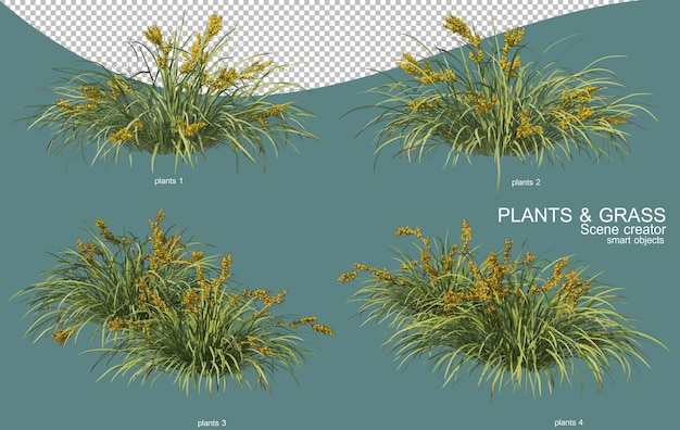 3D-Rendering von Gras- und Strauchanordnungen