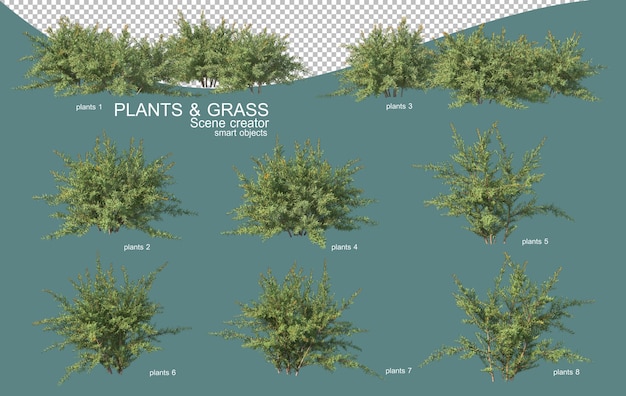 3D-Rendering von Gras- und Strauchanordnungen