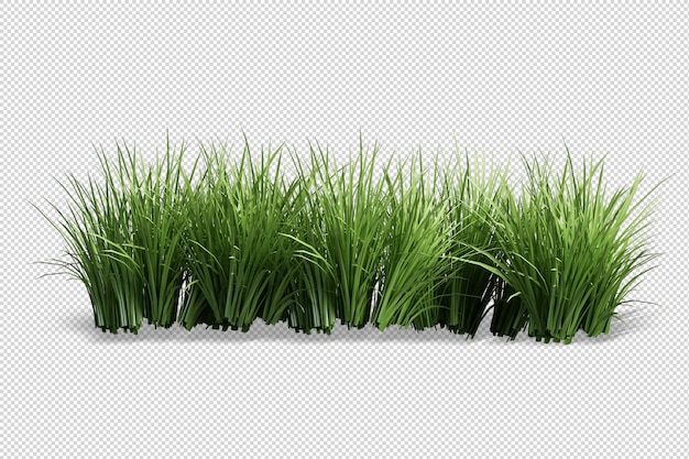 3d-rendering von gras- und straucharrangements